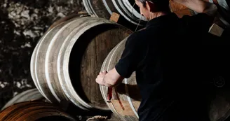 Cognac Painturaud Frères