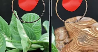 L'atelier Pandiperles