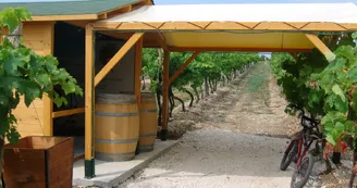 Le Cep Enchanté - Parc d'activités oenotouristiques