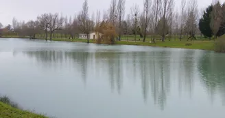 Etang de l'Hommée
