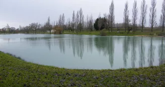 Etang de l'Hommée