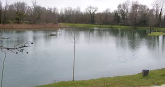 Etang de l'Hommée