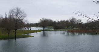 Etang de l'Hommée