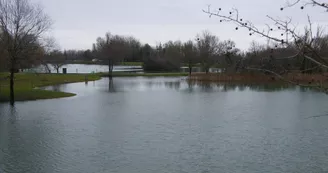 Etang de l'Hommée