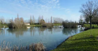 Etang de l'Hommée