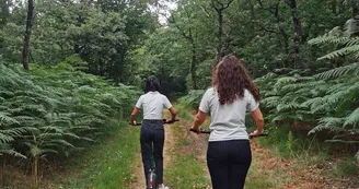 Parcours Accrobranche Parcours Accrobranche