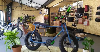 Location vélos Cycles Demion - Saint-Trojan les Bains