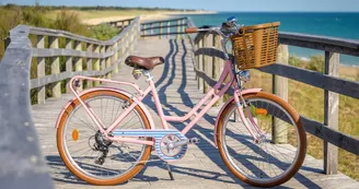 Location de vélos - Beach Bikes - Saint-Pierre