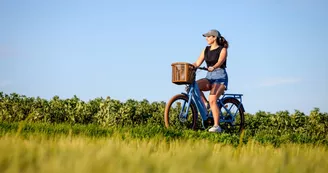 Location de vélos - Beach Bikes - Saint-Pierre