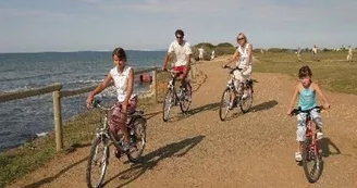 Location de vélos 17 Loisirs - Domino