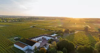 Maison Camps - Pineau Cognac