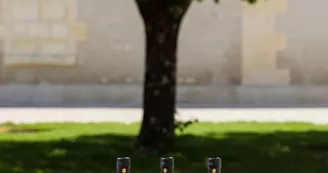 Guillon Painturaud Cognac et Pineau