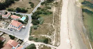 Le Grain De Sable