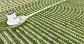 Maison Boinaud - Cognac De Luze & Whisky Hériose