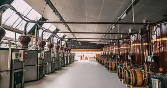 Maison Boinaud - Cognac De Luze & Whisky Hériose