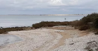Réserve naturelle nationale de la baie et du marais d'Yves