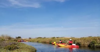 Marais d'Arceau et de la Perrotine
