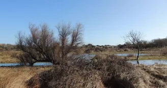 Marais de la Perroche