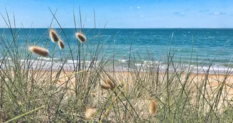 Plage des Saumonards