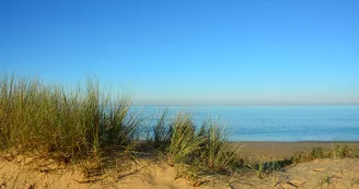 Plage de la Gautrelle