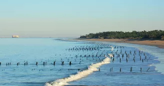Plage de la Gautrelle
