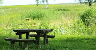 Aire du petit lac de l'Obrée