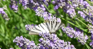 Les Jardins du Chaigne