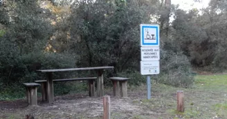 Aire de pique nique Boyardville