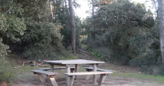 Aire de pique nique des Saumonards