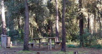 Aire de pique nique la Gautrelle