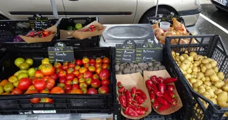 Marché bio de Puymoyen