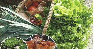 Marché bio de Puymoyen