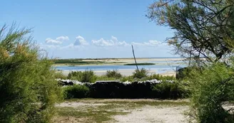 Site ostréicole et naturel de Fort-Royer