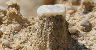 Kaolune, La Carrière Saint-Georges