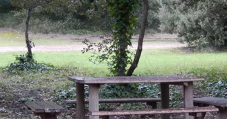 Aire de pique nique Plage des Sables Vignier