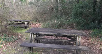 Aire de pique-nique Marais aux Oiseaux