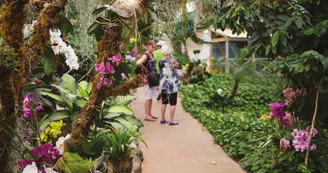 Serre tropicale des Antilles de Jonzac