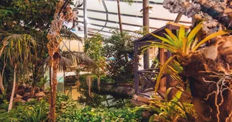 Serre tropicale des Antilles de Jonzac