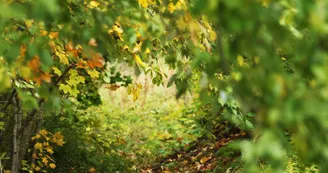 Arboretum Jean Aubouin