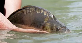 Echappée pêche à l'étang de La Rosière