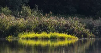 Echappée pêche à l'étang de La Rosière