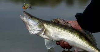 Echappée pêche à l'étang de La Rosière