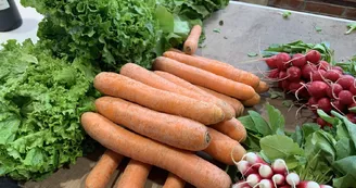 Marché de St Genis de Saintonge