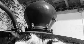 Domaine et Distillerie Brillouet