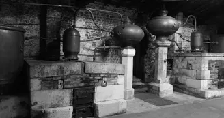 Domaine et Distillerie Brillouet