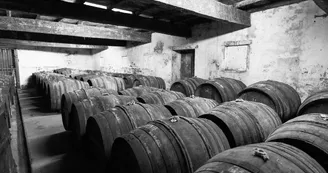 Domaine et Distillerie Brillouet