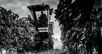 Domaine et Distillerie Brillouet