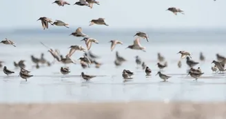 La pointe Saint-Clément