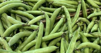 Foire et marché Mirambeau