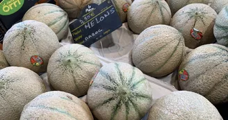 Marché de St Fort sur Gironde